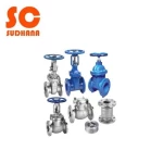 Sudhana Valves