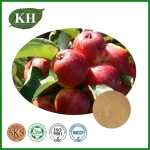 Apple Extract