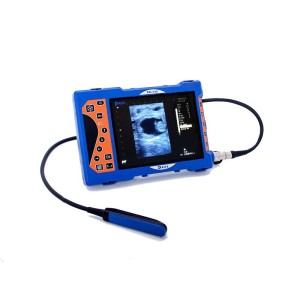 Veterinary portable animal cattle veterinary B-ultrasound scanner for animal pregnancy