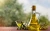 Import Premium Italian Extra Virgin Olive Oil from Switzerland
