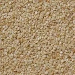 Sesame