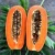 Import Fresh Papayas from Ecuador