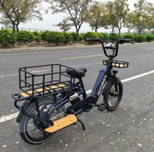 OEM Long Tail Cargo Electric Bicycle 750w Strong Power Dual Lithium Battery E Bicycle Hydraulic Disc Brake 7speed Bike