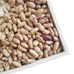 High Quality Delicious Red Speckled Beans Light Red Kidney Beans Wholesale for Cheap Price
