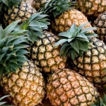 Premium Quality Fresh Pineapples – Naturally Sweet. Globally Sought.