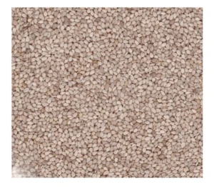 White Sesame Seeds for human consumption