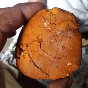 Ox Gallstones Cattle Gallstones Cow
