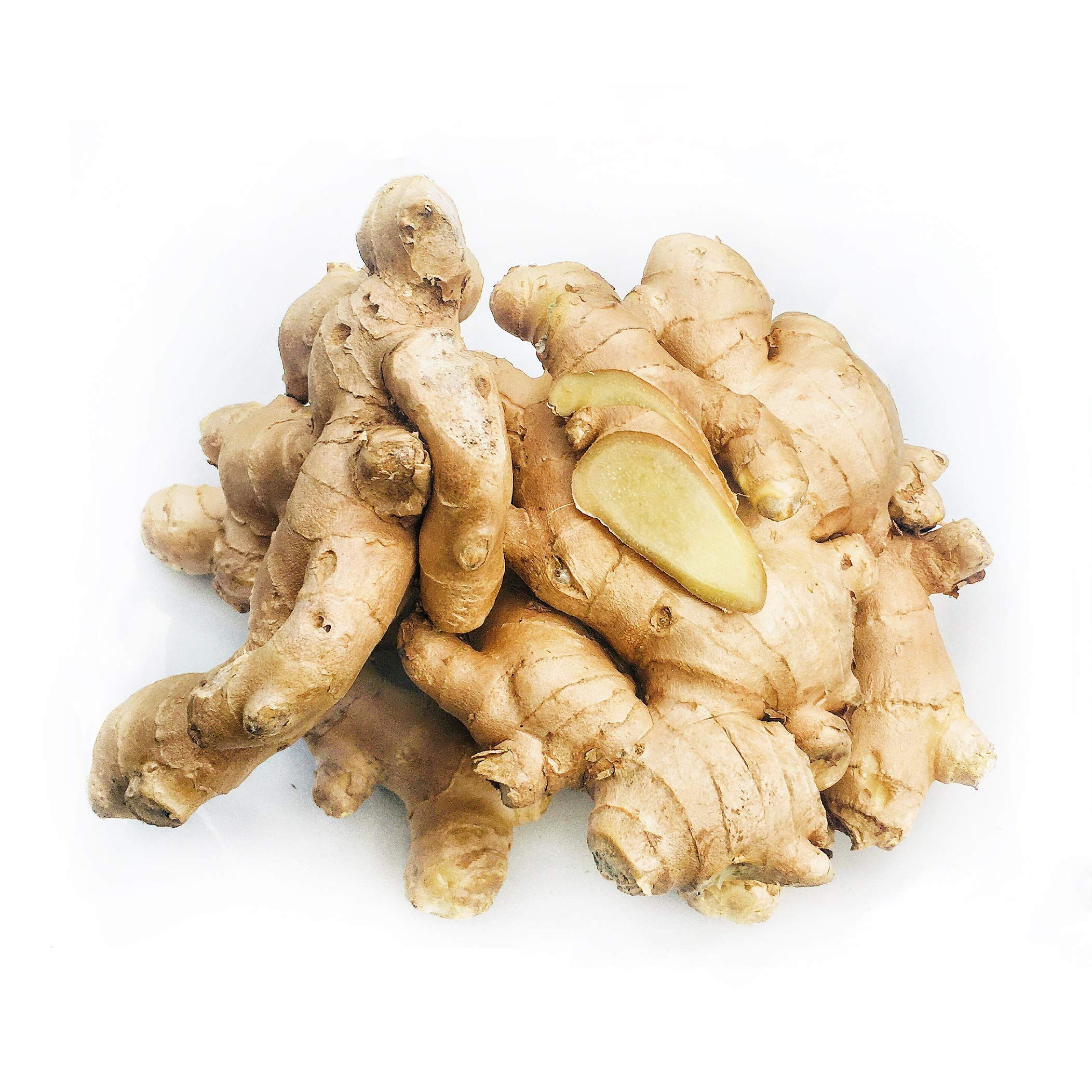 Buy High Quality Fresh Ginger In Bulk Wholesale Supplier With Cheap ...