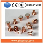 silver contact rivet for the switch