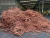 Import Wholesale High Quality 99.99% Pure Copper Wire scrap Bright Appearance from Germany