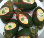 Belta nut from Viet Nam