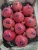 Import Pomegranate- Wonderful Variety from Egypt