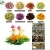 Import 100% Handmade Blooming Tea Flowering Tea from China