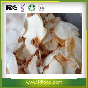 100% Natural Freeze Dried Squid Pieces