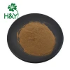 100% Pure Natural Custom Wholesale Bulk Powders Cissus Quadrangularis Leaf Extract cissus