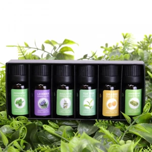 10ML Wholesale Bulk Fragrance Oil Massage Spa Body Face Oil body lotion Aromatherapy Pure Essential Oil Gift Sets