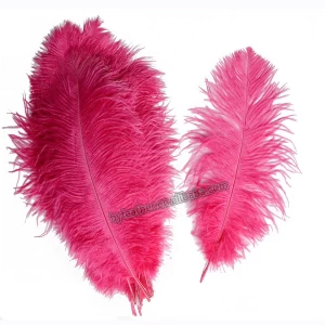 20-25cm Wholesale High Quality Wedding Party Decorations White Ostrich Feather for Party Decoration