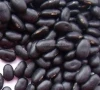 2014 new crop Chinese black Lentils