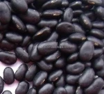 2014 new crop Chinese black Lentils