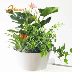 2018 new product plastic flower pot tray / colorful self watering garden plant flower pot
