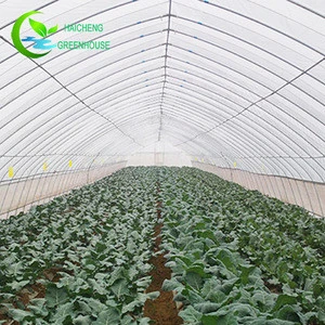 2018 top sell agricultural equipment low tunnel garden greenhouse