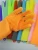 Import 2019 Amazon hot Reusable Silicone Household cleaning Gloves with Wash Scrubber from China