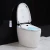 Import 2020 Chaozhou No Cistern Automatic Toilet Seat Intelligent Toilet with female washing from China