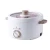 Import 2020 hot sell eco-friendly material pizza pan electric pan from China