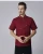 Import 2021 Fashion chef  uniform short sleeves hot sale executive chef uniform from China