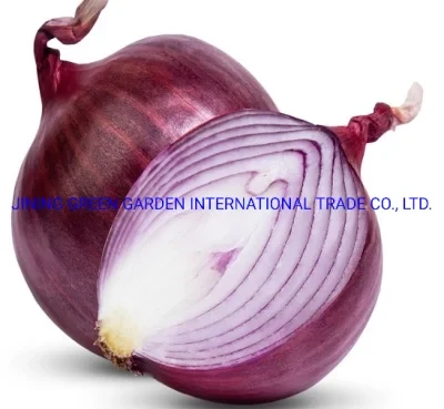 2021new Crop Chinese Red Onion Yellow Onion, 10kg 20kg Mesh Bag Round Frozen Fresh Red Yellow White Onion From Factory