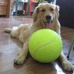 24CM Giant Tennis Ball For Pet Chew Toy Big Inflatable Tennis Ball Signature Mega Jumbo Pet Toy Ball Supplies Outdoor Cricket