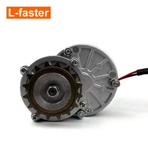 24V 36V 250W Electric Gear Motor With Freewheel Sprocket For Bicycle Left Side Mounting