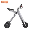 3 wheel portable folding electric bike/electric bicycle/mini folding e-bike/ebike
