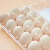 30 Holes High Quality transparent Plastic blister egg tray chicken eggs boxes
