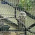 Import 3mm 4mm 5m wire welded wire mesh panel support of flower pergola from China