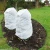 Import 60 GSM Non Woven Tissue Plant Cover for Tree Flower Banana PP Spunbonded Anti-UV from China