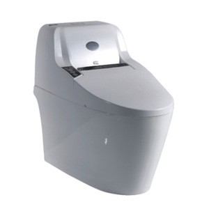 745W China bathroom Siphon full-automatic one piece intelligent smart WC wash toilet bidet
