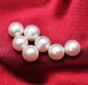 8mm perfect round AAA grade fresh water genuine real natural freshwater loose pearls