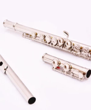 Accept OEM Instrument Good Quality  Professional Silver Plated Flute
