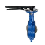 Acid Resistance Grooved End Double Flange Butterfly Valve