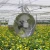 Import Air Circulation Ventilation Fan for Greenhouse from China