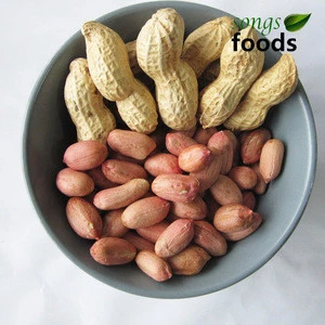 All kinds of turkish peanuts