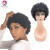 Import Angelbella Cheap Wholesale 100 Human Hair Wigs Short Curly Human Hair Wig for Black Women from China
