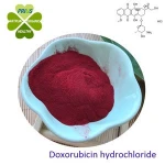 anti-cancer drug Doxorubicin Hcl 25316-40-9 Doxorubicin hydrochloride