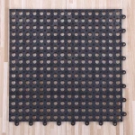 Antiskidding plastic bathroom floor mat for toilet