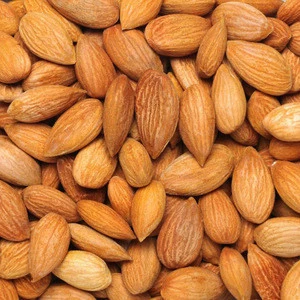 Apricot Nuts (sweet and Bitter Apricot Nuts)