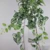 Artificial hanging fittonia plants vine ornaments