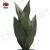 Import Artificial Snake Plant Fake Sansevieria with White Plastic Pot Artificial Potted Plants for Home Office Faux Plants Indoor Outdo from China