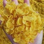 Automatic Nestle sugar coating corn flakes breakfast baby cereals making machine manufacturing equipment supplier