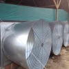 Automatic poultry farm chicken house ventilation fan